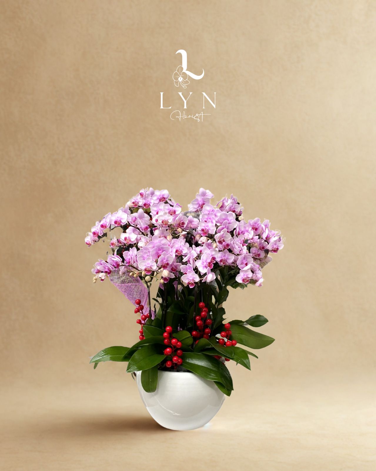 Chậu Hoa Lan Mini RRAA2-2V (2)